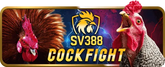 Chương trình VIP và khách hàng thân thiết VE888